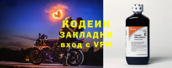 дурь Арсеньев