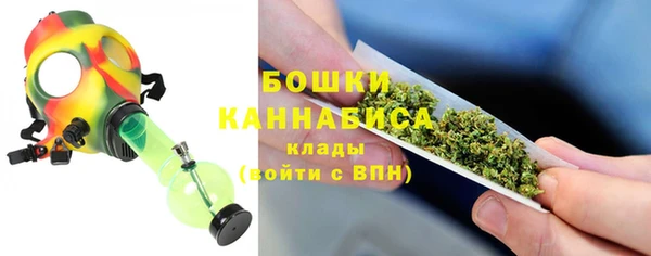 дурь Арсеньев